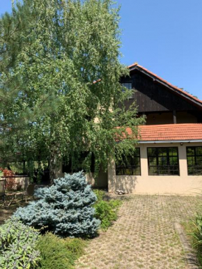 Vila Timok